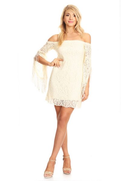 Fringe Feather Sleeves Dress