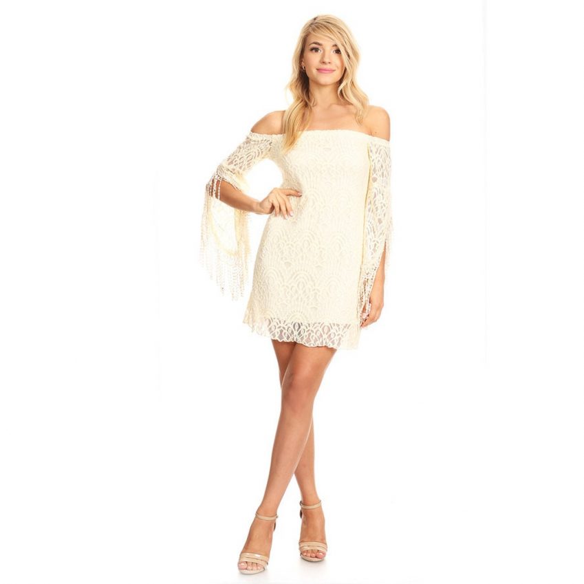 Fringe Feather Sleeves Dress