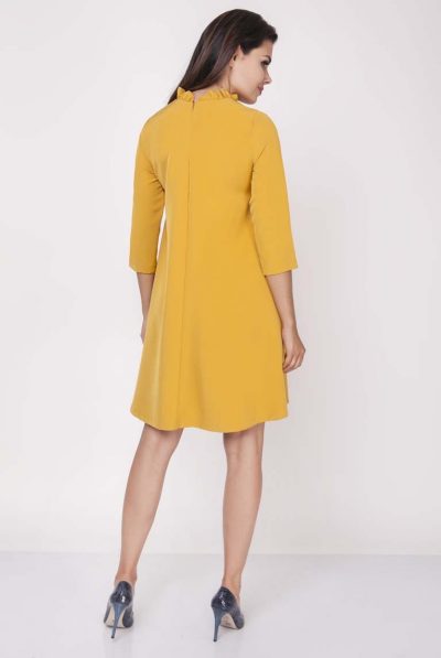 back of mustard dress