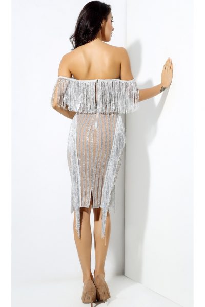 back of silver fringe dress