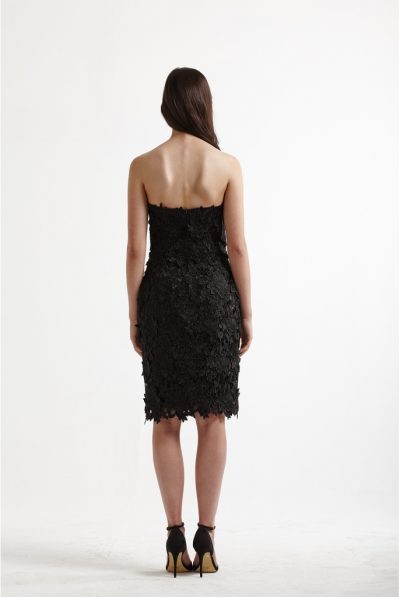 black lace dress 6679